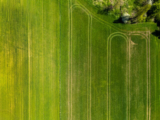 Top view of green field