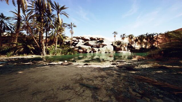 Oasis lake in desert surrounded high yellow sand dunes