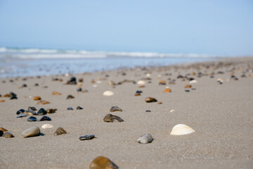 Pebbles and shells on the white sand of a Scandinavian beach. Surf of the North Sea.