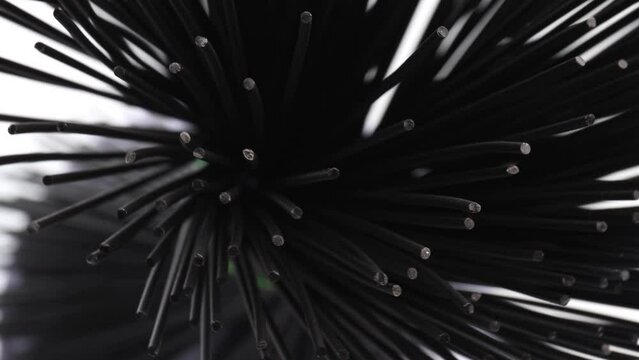 black spaghetti, rotation in circle. black abstract background, Turning. selective focus. spaghetti nero di seppia