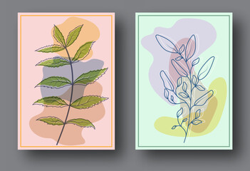 A set of backgrounds with abstract plants. A minimalist layout for covers, paintings, interior prints, posters and creative design