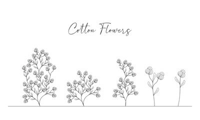 set hand made vector illustration.
design element cotton flowers blossom.