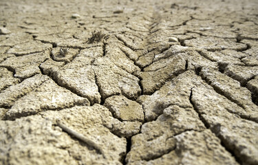 Dry and cracked earth