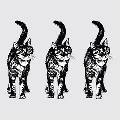 Fototapeta na wymiar High Resolution Vector Cats Clipart Lineart Collection
