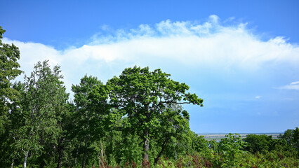 Nature, blue sky, Wallpaper on your desktop. Green Park.