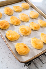 Homemade naan dippers