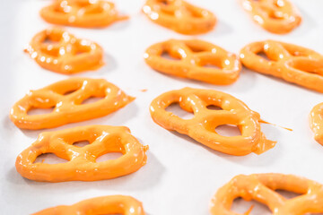 Gourmet Chocolate Covered Pretzel Twist