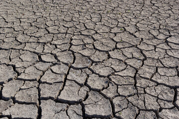 dry land in the dry season Drought, ground cracks, no hot water. Lack of humidity effect from global cracked soil in drought abstract nature background with cracked soil