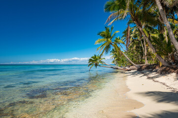 Isla Saona