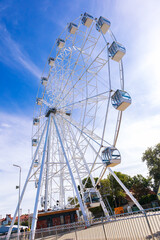 Ferris wheel in an amusement park.