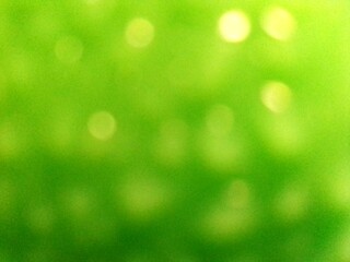 Obraz premium green bokeh background