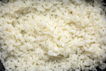 garnish in black boxes. Delivery.