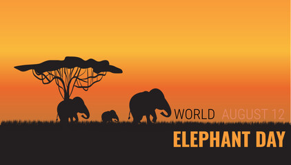 World elephant day.12 August.Silhouette of elephant a sunset in the savannah.