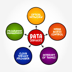 Data Services - self-contained units of software functions that give data characteristics it doesn't already have, mind map text concept background