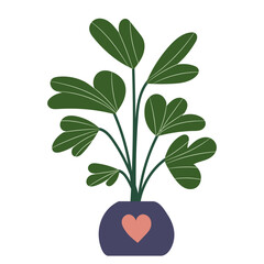 plant in a pot, on a white background in a flat style, isolated vector