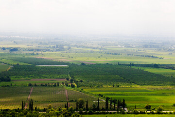 Obraz premium Alazani valley landscape and view