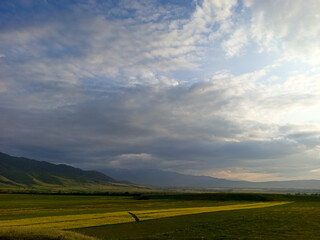 Blooming fields against the backdrop of mountains. Beautiful mountain landscape. Blooming summer...