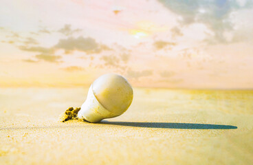 Energy-saving lamp buried in the sand on the beach