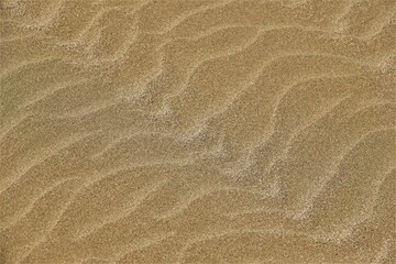 Plage de sable blond sculptée par le vent et la mer