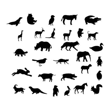 Collection of silhouettes of birds. Birds silhouettes vector on isolated background.