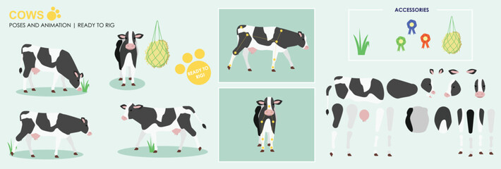Black and white cow ready to animate with multiple poses accessories. Vector file labeled ready to rig. milking cow, cow walking, standing, front, side views