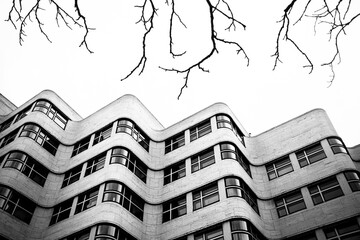 Contrast between modern architecture and nature - BW - 611318287
