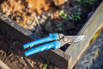 Farmer's garden tools. Gardening concept. Agricultural work on the plantation