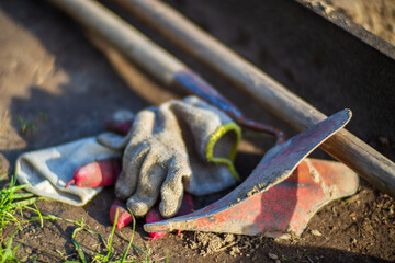 Farmer's garden tools. Gardening concept. Agricultural work on the plantation