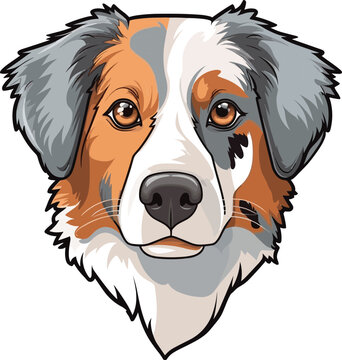 Comic-Cartoon-Zeichnung eines Australian Shepherd Kopfes