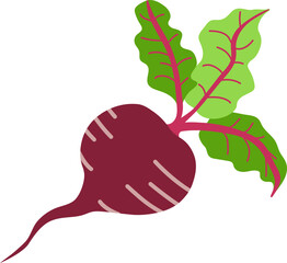 Beet  icon in flat style. Isolated object. Beet  logo. Organic food. Vector illustration. Vegetable from the farm.