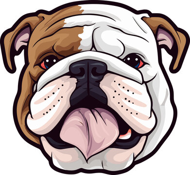 Comic-Cartoon-Zeichnung eines Englische Bulldoggen Kopfes