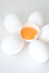 eggs on white background