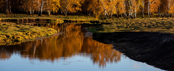 Beautiful forest lake in autumn. Autumn forest lake landscape. Autumn forest lake view. Forest lake in autumn.