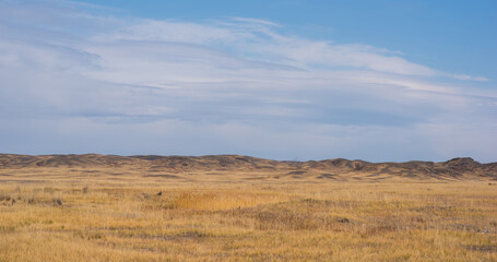 Savanna covered with dry yellow grass and hills on the distant. White clouds in the blue sky. Desert in Namibia. Hot day. Travel to Africa.