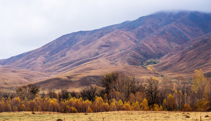 Autumn morning mountain panoramic view haze and low clouds. Heavy low fog clouds hanging over the hills and autumn mood.