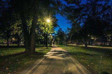 The tailed lawn with yellow leafs in the night park with lanterns in autumn. Benches in the park during the autumn season at night. Illumination of a park road with lanterns at night. Park Kyoto