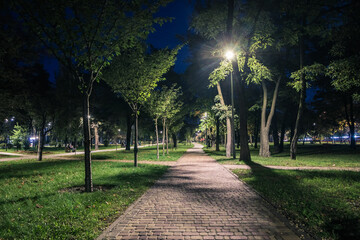 Obraz premium The tailed lawn with yellow leafs in the night park with lanterns in autumn. Benches in the park during the autumn season at night. Illumination of a park road with lanterns at night. Park Kyoto