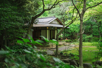 Fototapeta na wymiar 東京の庭園の風景