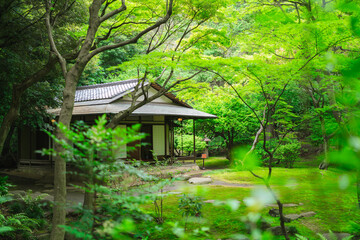 Fototapeta na wymiar 東京の庭園の風景