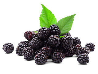 Blackberries in a pile isolated on a transparent or white background, png