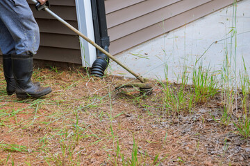 Worker with lawn mower trims lawn from residential building lawn around building mows fresh green...