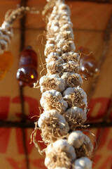 itaberaba, bahia, brazil - june 7, 2023: heads of garlic for sale in a store in the city of Itaberaba.