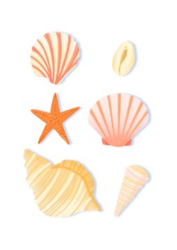set of seashells illustration, shellfish design 