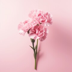 Pink Carnation: Mother's Day. Generative AI