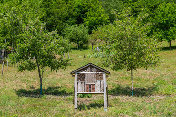 Bienen, und Insektenhaus an der Mosel - 611339020