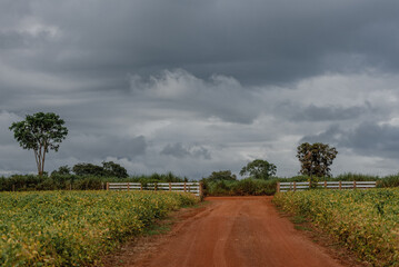 Fototapeta premium dirt road with a wooden gate and clouded sky