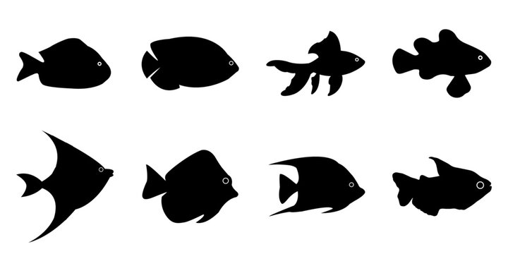 Aquarium Goldfishes Vector Silhouette Set
