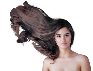 Hair, wind and woman in portrait isolated on transparent png background of salon, color treatment...