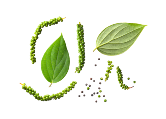 peppers and leaf on  transparent png