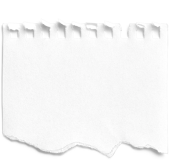 Small Notepad Half Page Torn